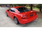 Thumbnail Photo 5 for 2003 Ford Mustang Cobra Coupe